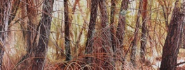 Huile sur toile, 280 x 110 cm, diptyque Huile sur toile, 280 x 110 cm, diptyque