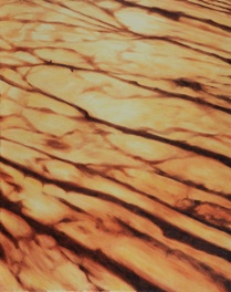 Huile sur toile, 92 x 73 cm Huile sur toile, 92 x 73 cm