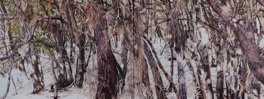 Huile sur toile, 232 x 89 cm, diptyque Huile sur toile, 232 x 89 cm, diptyque