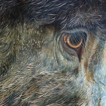 Hommage à Kiki the legendary wild boar of Claviers, Oil on Canvas, 2 x 2 m, 2020 Hommage à Kiki the legendary wild boar of Claviers, Oil on Canvas, 2 x 2 m, 2020
