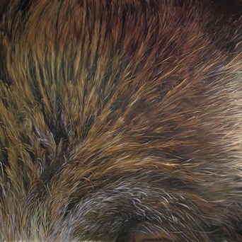 Hommage à Kiki the legendary wild boar of Claviers, Oil on Canvas, 2 x 2 m, 2020
Hommage à Kiki the legendary wild boar of Claviers, Oil on Canvas, 2 x 2 m, 2020