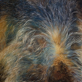 Hommage à Kiki the legendary wild boar of Claviers, Oil on Canvas, 2 x 2 m, 2020 Hommage à Kiki the legendary wild boar of Claviers, Oil on Canvas, 2 x 2 m, 2020