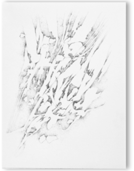 blatt11.gif