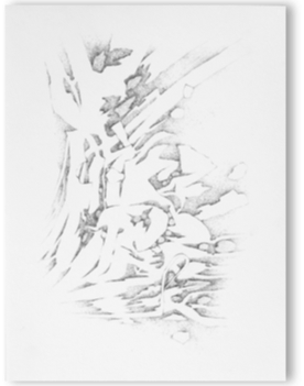 blatt2.gif