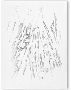 blatt3.gif