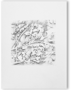 blatt5.gif
