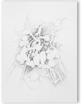 blatt9.gif