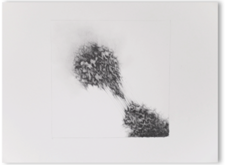 f2.gif