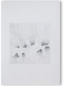 zart2.gif