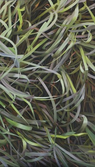 Oil on canvas, 70 x 120 cm, 2020 Oil on canvas, 70 x 120 cm, 2020
