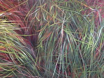 Oil on canvas, 160 x 120 cm, 2019 Oil on canvas, 160 x 120 cm, 2019