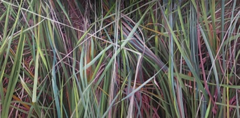 Diptyque, Oil on canvas, 100 x 200 cm, 2019 Diptyque, Oil on canvas, 100 x 200 cm, 2019