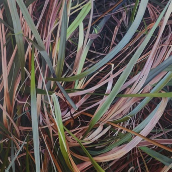 Oil on canvas, 120 x 120 cm, 2020 Oil on canvas, 120 x 120 cm, 2020