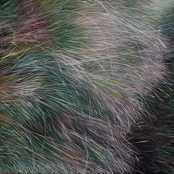 Oil on canvas, 80 x 80 cm, 2019 Oil on canvas, 80 x 80 cm, 2019