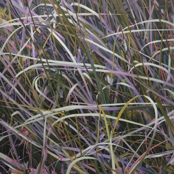 Oil on canvas, 120 x 120 cm, 2020 Oil on canvas, 120 x 120 cm, 2020