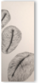 Pencil drawing, 25 x 60 cm, 2019