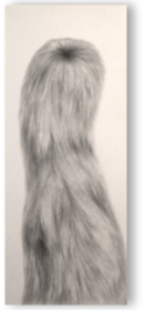 Pencil drawing, 25 x 60 cm, 2019