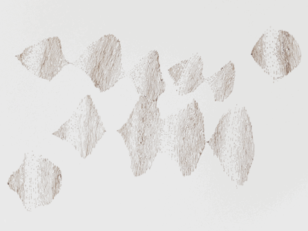 g2.gif