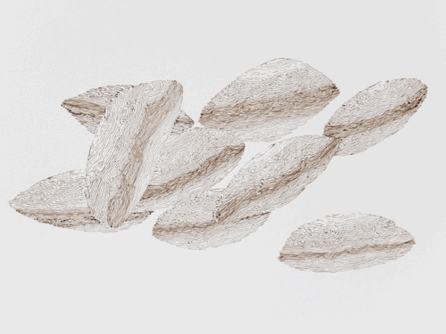g7.gif