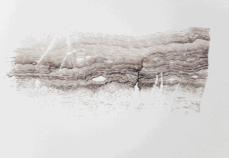 gallus1.gif