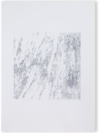 zeich16.gif