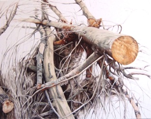 Oil on canvas, 100 x120 cm Oil on canvas, 100 x120 cm