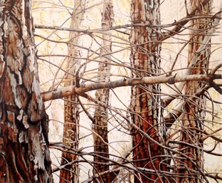 Oil on canvas, 100 x 120 cm Oil on canvas, 100 x 120 cm
