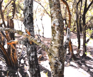 Oil on canvas, 73 x 60 cm Oil on canvas, 73 x 60 cm