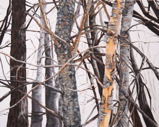 Oil on canvas, 80 x 65 cm Oil on canvas, 80 x 65 cm