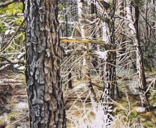 Oil on canvas, 73 x 60 cm Oil on canvas, 73 x 60 cm