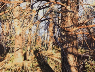 Oil on canvas, 116 x 89 cm Oil on canvas, 116 x 89 cm