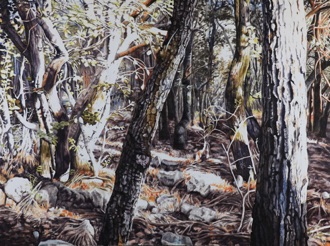 Oil on canvas, 160 x 120 cm Oil on canvas, 160 x 120 cm