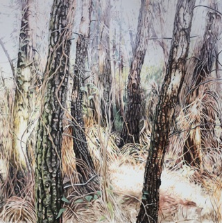 Oil on canvas, 150 x 150 cm Oil on canvas, 150 x 150 cm