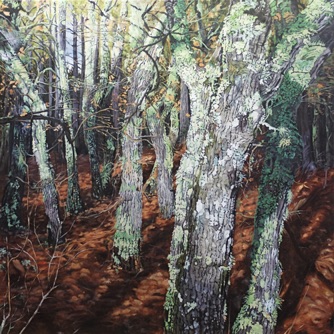Oil on canvas, 150 x 150 cm Oil on canvas, 150 x 150 cm