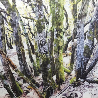 Oil on canvas, 150 x 150 cm Oil on canvas, 150 x 150 cm