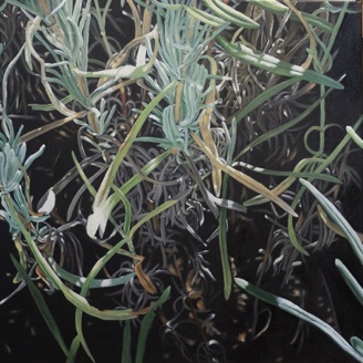 Oil on canvas, 80 x 80 cm, 2018 Oil on canvas, 80 x 80 cm, 2018